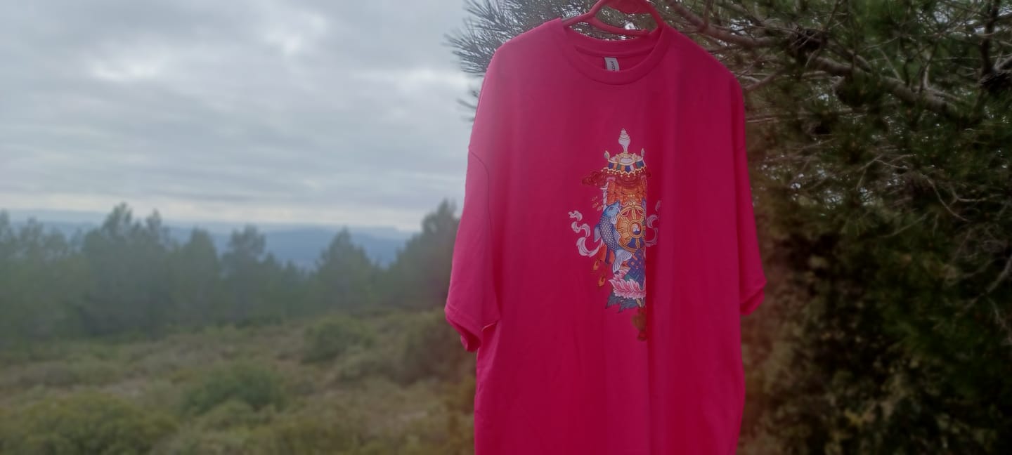 Customer photo review of Dharma T-shirts | Unisex (13 Couleurs)