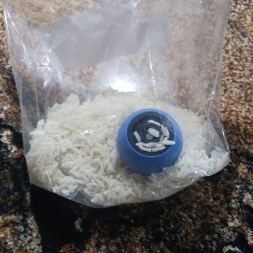 James D. review of SPEEDY TAIL 2.0 image 1 out of 1