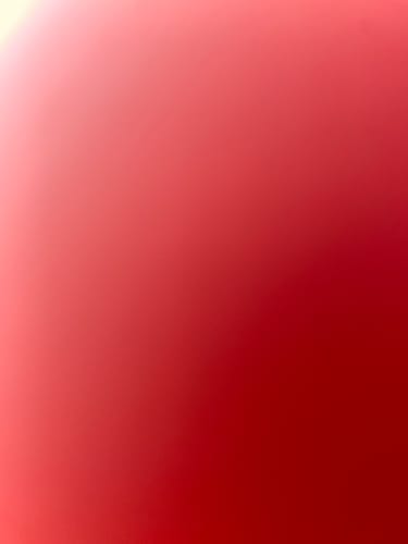 undefined review of EXPERT TOOLKIT image 1 out of 1