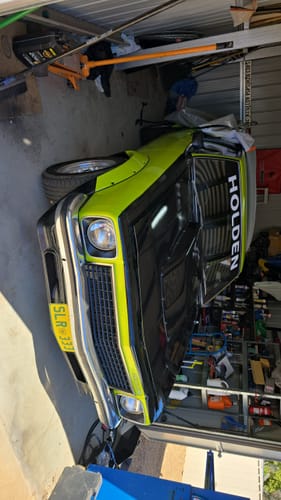 Customer photo review of Holden