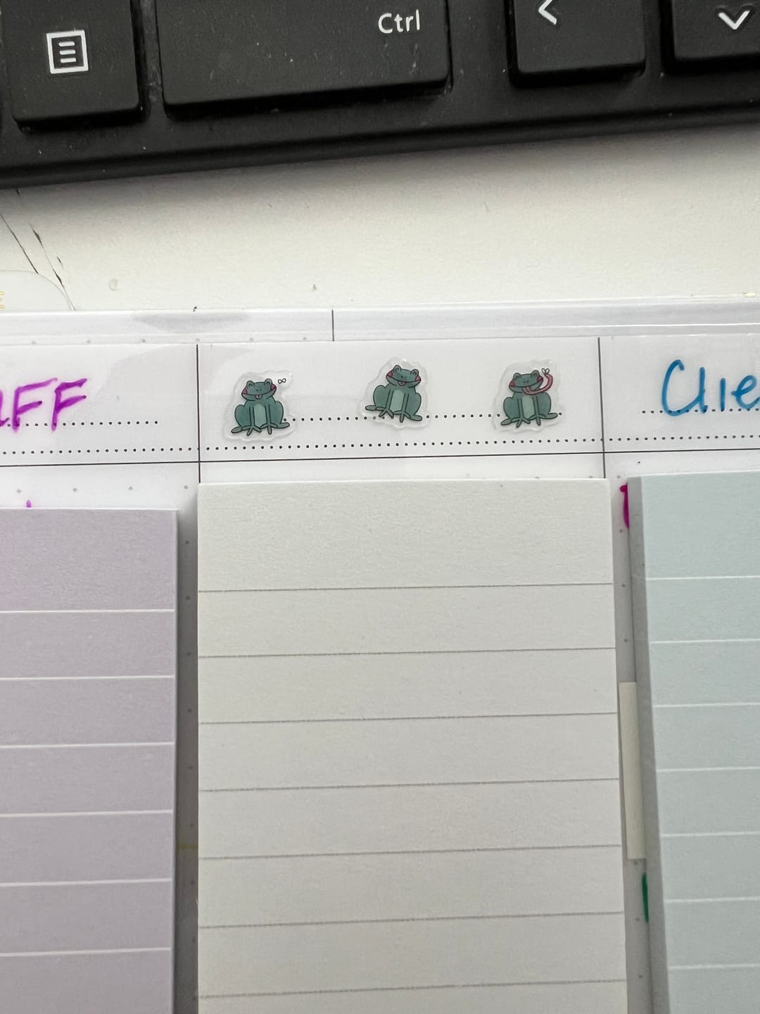 Customer photo review of Frog Stickers