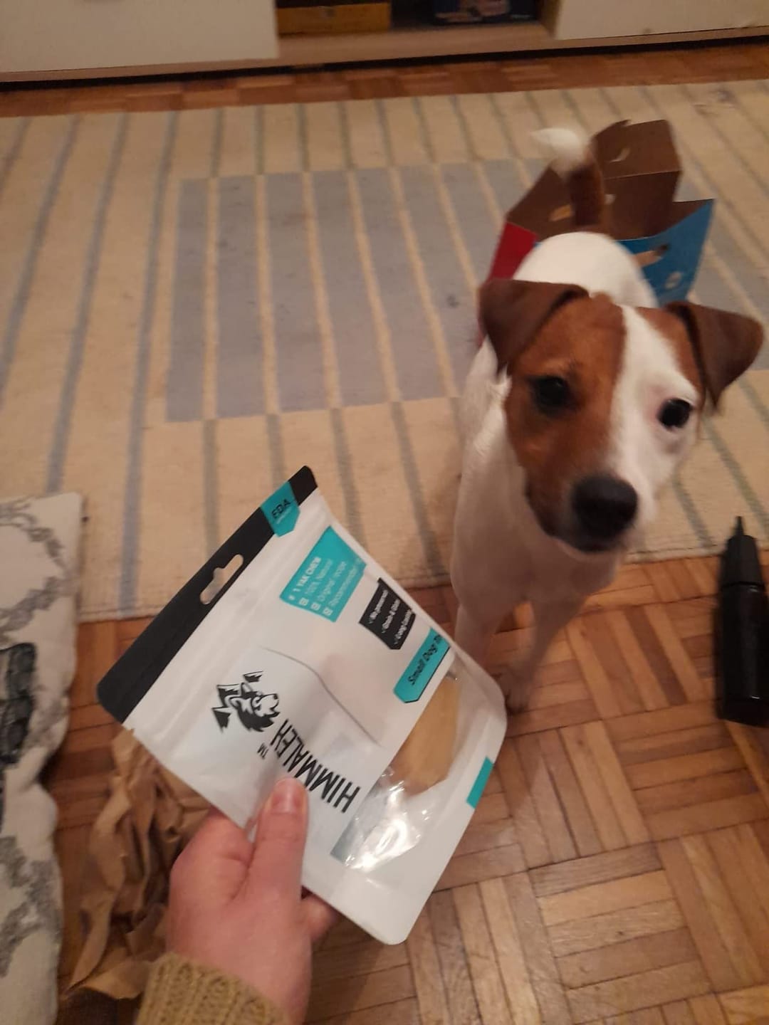Customer photo review of Himalyan yak chew (SMALL)