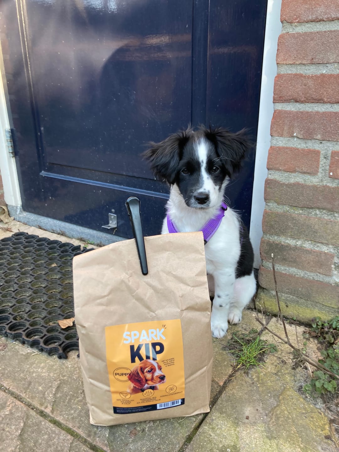 Customer photo review of Puppy - Kip met Kalkoen, Zalm, Zoete Aardappel & Wortel