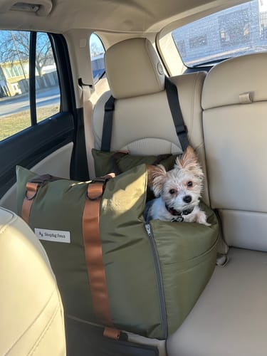 Customer photo review of Sleeping Paws Pooch Pad (Dog Bed Car Seat)