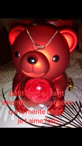 Customer photo review of Ours Rose Éternelle avec Collier Gravé - Une double surprise que votre chérie appréciera