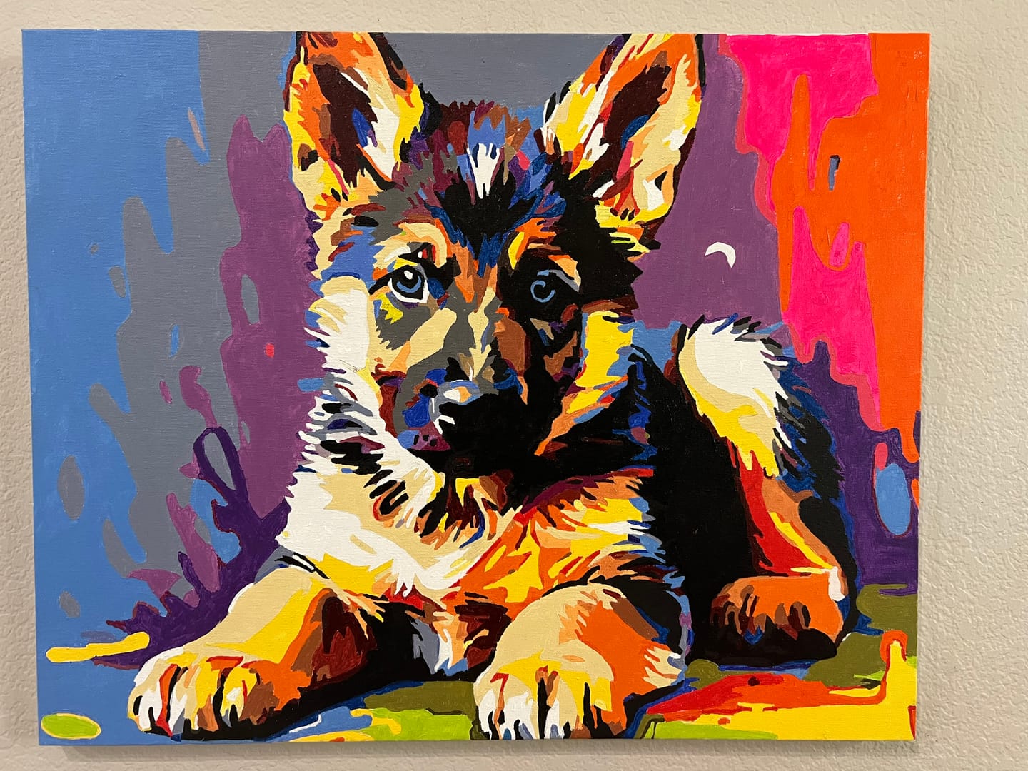 Customer photo review of Colorful Canine Frolic