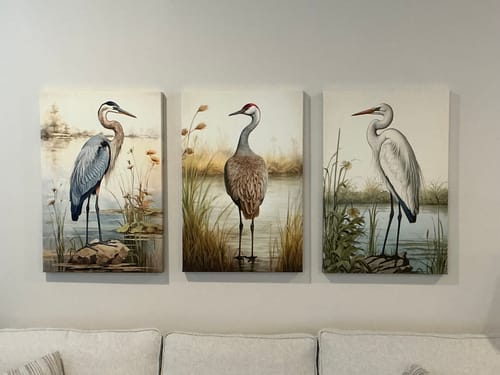 Customer photo review of Set of 3 Coastal Birds Framed Canvas Wall Art - Blue Heron, Great Egret, Sandhill Crane