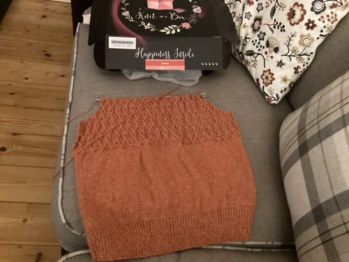 Customer photo review of Ladies Mystery Knitting Box