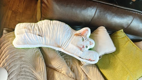 Customer photo review of 本物そっくり♪オーダーメイドクッション