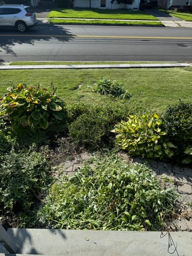 Customer photo review of Mommy & Me Cream & Gold Bracelet - 14K Gold Filled