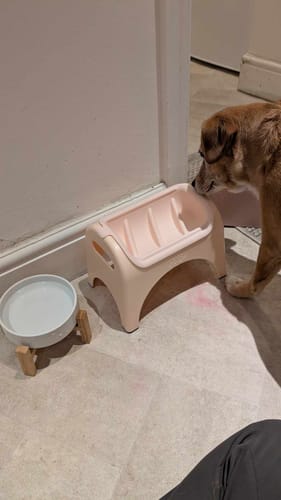 undefined review of EasyEat 2.0 Slow Feeder image 1 out of 1