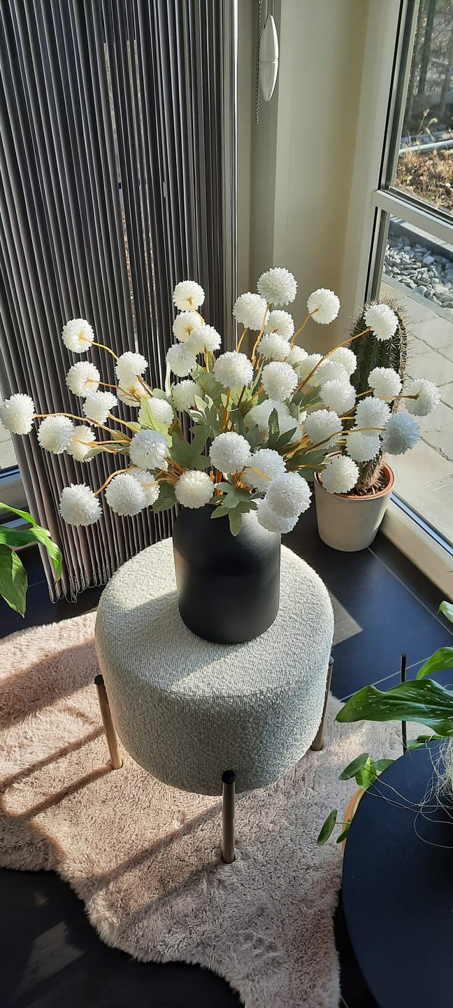 Customer photo review of Casa vaas - Mat zwart