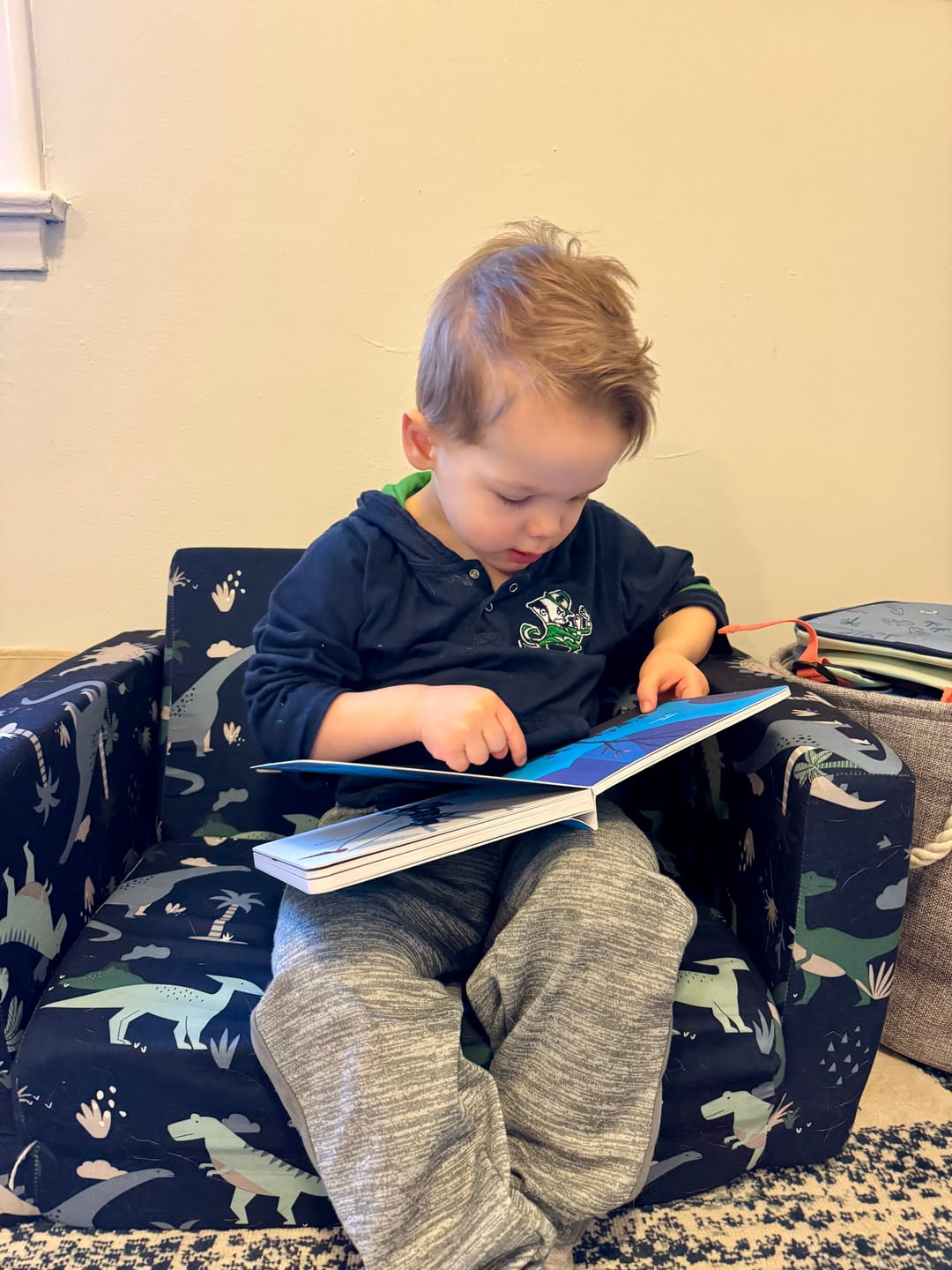 Customer photo review of Little Book League Box