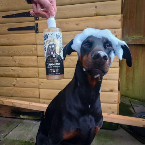 Customer photo review of One in a Million Dog Shampoo