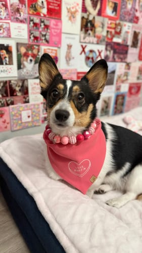 Customer photo review of Conversation Heart Embroidered Bandana