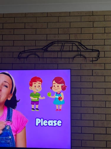 Customer photo review of Holden Commodore VH