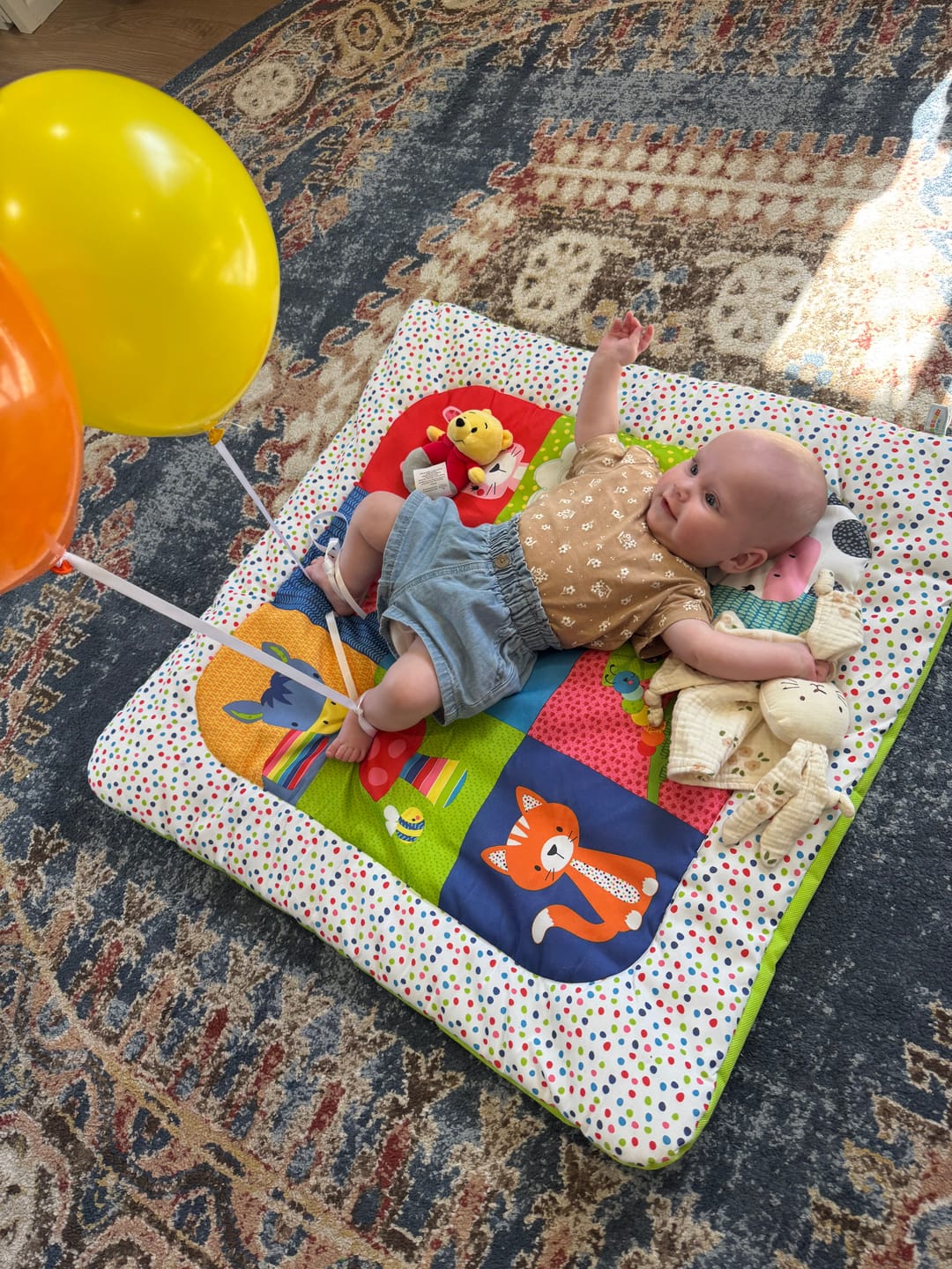 Customer photo review of Learn with Me - Baby Cards