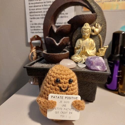 Customer photo review of PATATE POSITIVE