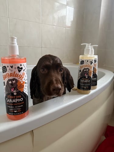 Customer photo review of Stinky Dog Shampoo with Odour Neutraliser