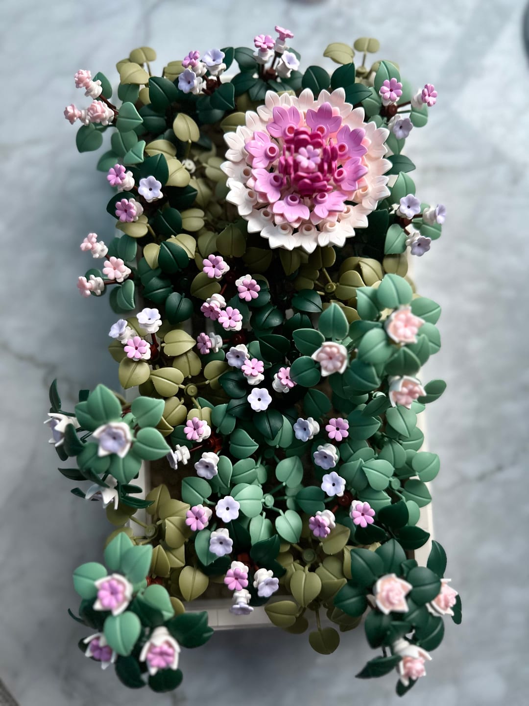 Customer photo review of Sakura Moss Garden