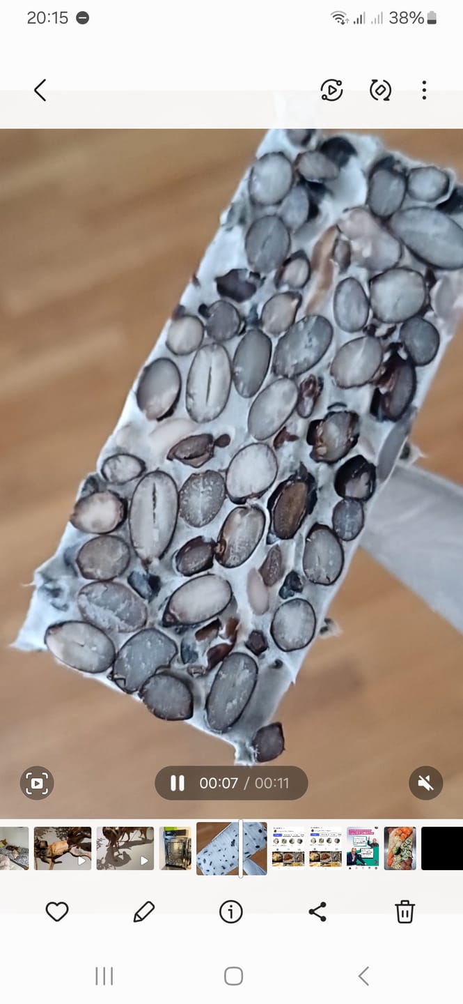Customer photo review of BIO Tempeh-Revolution: Starter-Kultur für Heimfermentation
