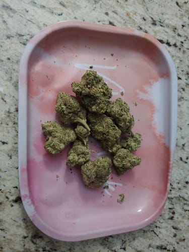 Customer photo review of 9LB Hammer