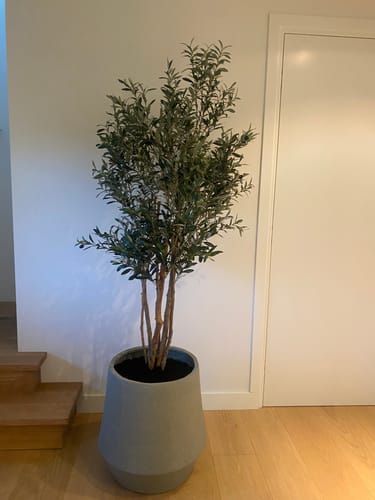 Customer photo review of Kunst Olijfboom 180cm
