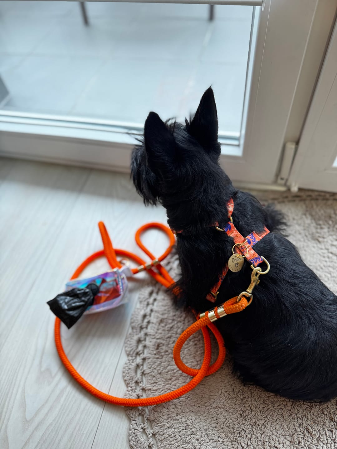 Customer photo review of Smycz linowa "Tiger Orange" - złote okucia