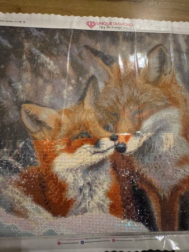 Customer photo review of 5D Diamond Painting mit AB-Effekt - Füchse im Schnee