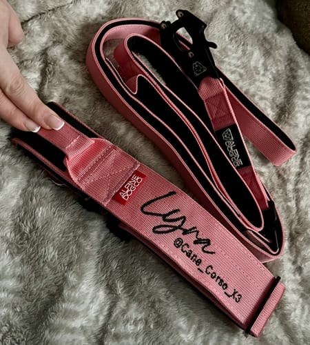 Customer photo review of 2" Tactik Dog Collar - Rose