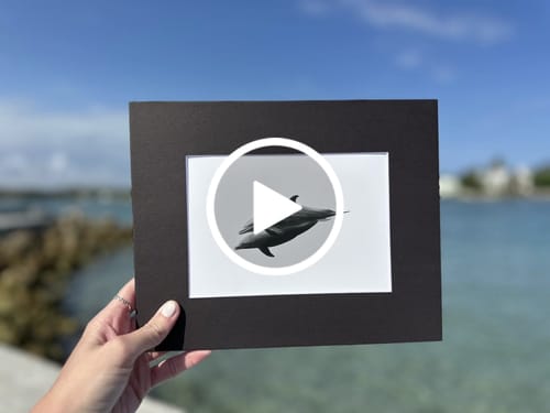 Customer video review of 5x7 Giclee Fine Art Prints