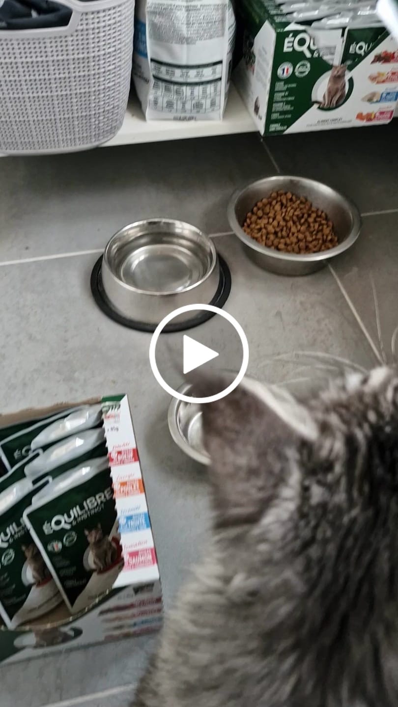 Customer video review of Multipack d'effilés (chat stérilisé et chat adulte)