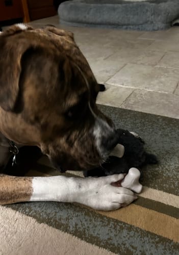 Customer photo review of Knuckleheads 2-in-1 Toy