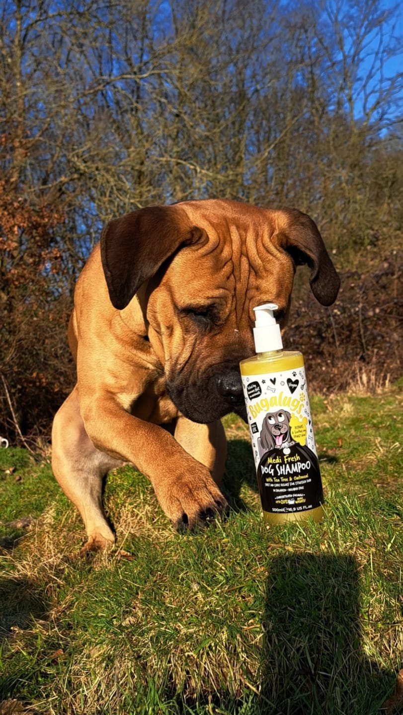 Customer photo review of Medi Fresh Dog Shampoo with Tea Tree & Oatmeal