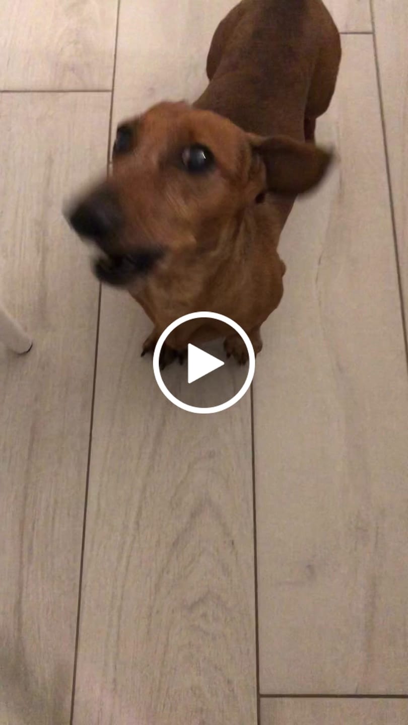 Customer video review of Power Move