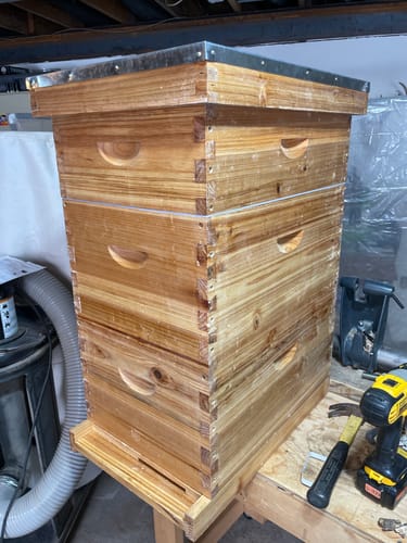 Customer photo review of BeeCastle Logo Free 8 Frame Beeswax Coated Unassembled Beehive:2 Deep Cedar Wood Bee Boxes, 1 Medium Cedar Wood Bee Box for Superior Beekeeping.