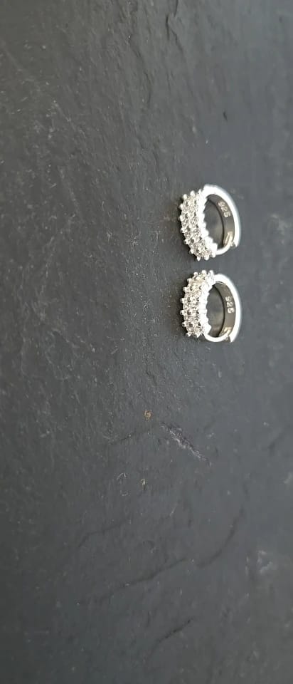 Customer photo review of Sterling Silver Stud Earrings Double Row Zircon Round — Silver | KIMLUD
