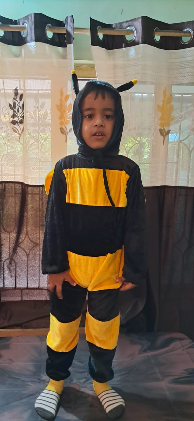 Customer photo review of Fancydresswale Honeybee insect costume for kids for fancy dress competitions