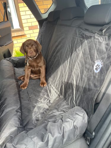 Customer photo review of Car Seat Cover