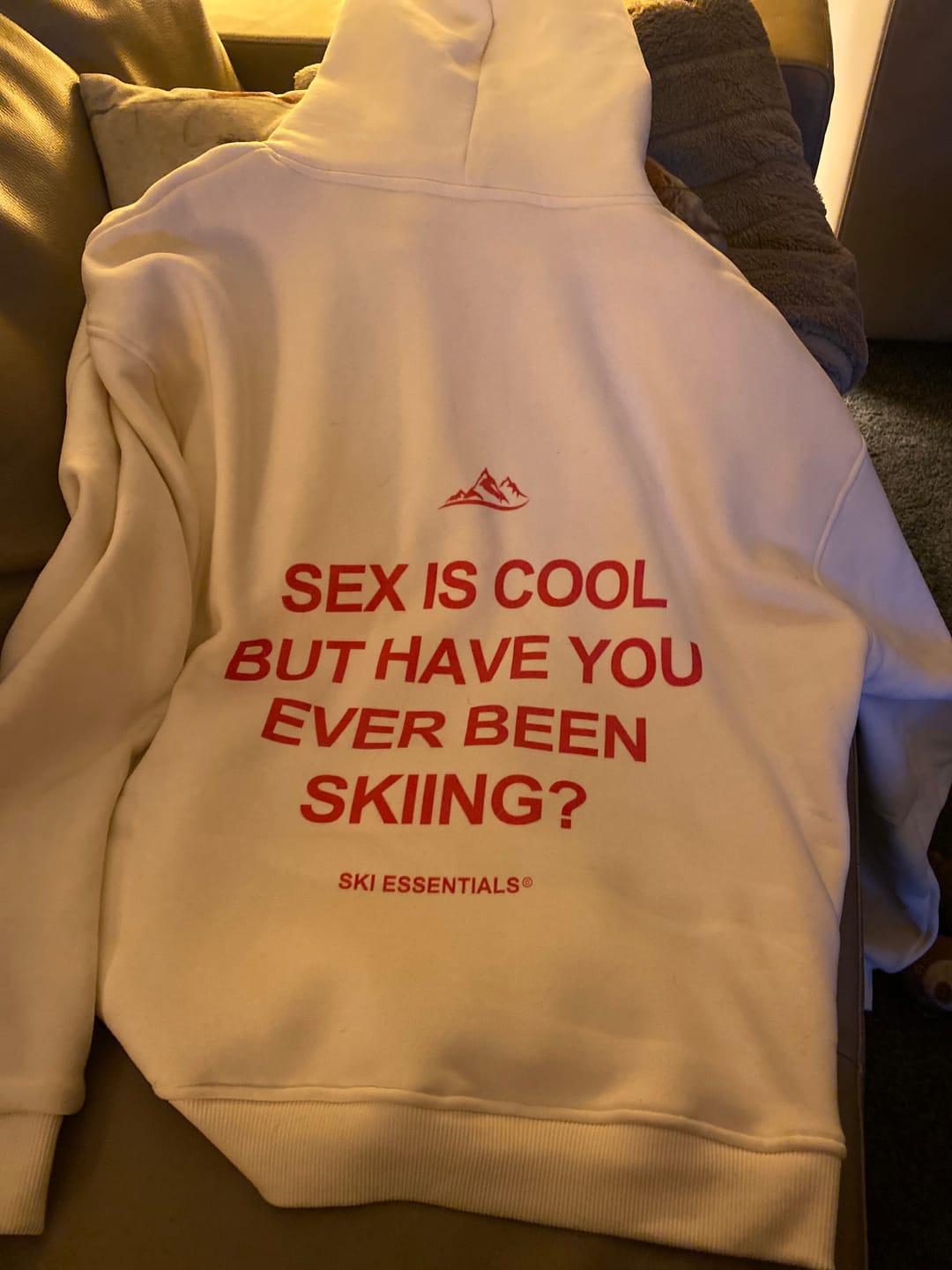 Customer photo review of SEX IS COOL - Oversized Hoodie
