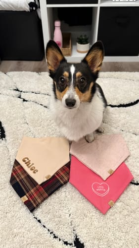 Customer photo review of Custom Name Embroidered Bandana