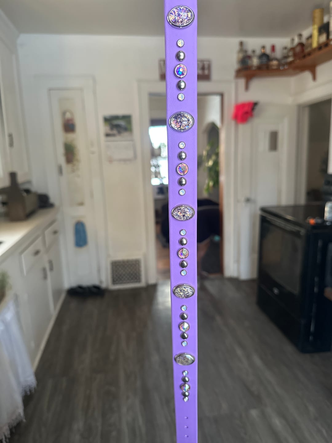 Customer photo review of The 'Bodhi' Collar