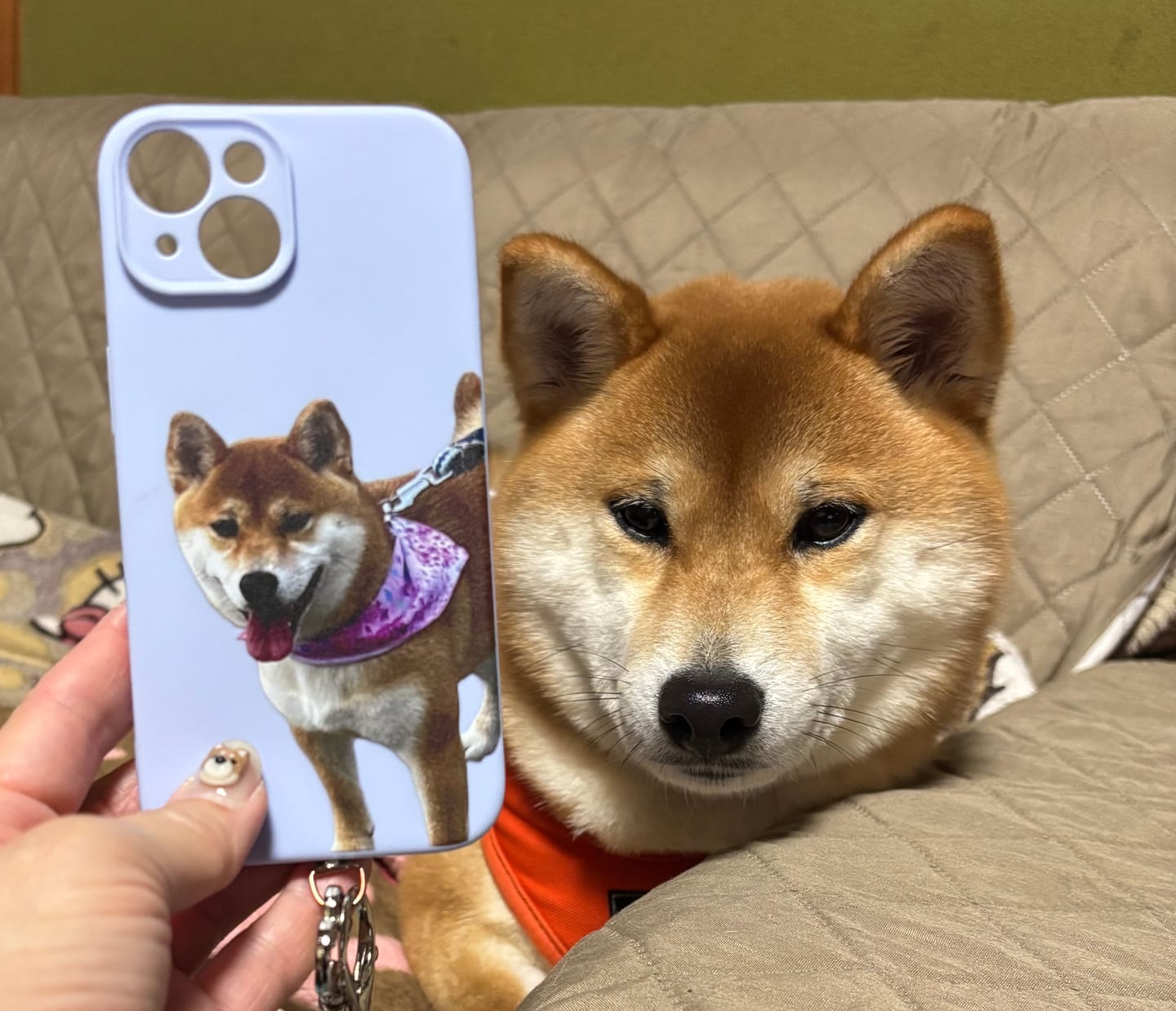 Customer photo review of ペットの写真で作るオリジナルユアフォトスマホケース02（iPhone,Android）