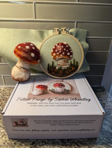Customer photo review of Sophie Wheatley's Felted Fungi Supplies Box