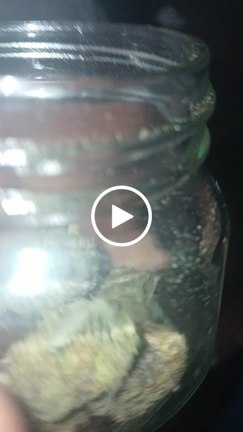 Customer video review of Bulk MixLight Flower