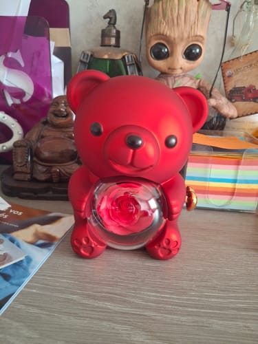 Customer photo review of Ours Rose Éternelle avec Collier Gravé - Une double surprise que votre chérie appréciera