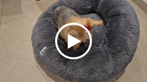 Customer video review of Cama Antiestrés Para Perros