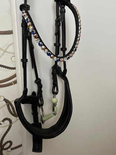 Customer photo review of Stirnriemen Rose Delicate