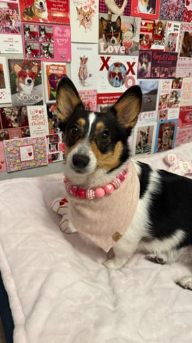 Customer photo review of Smitten