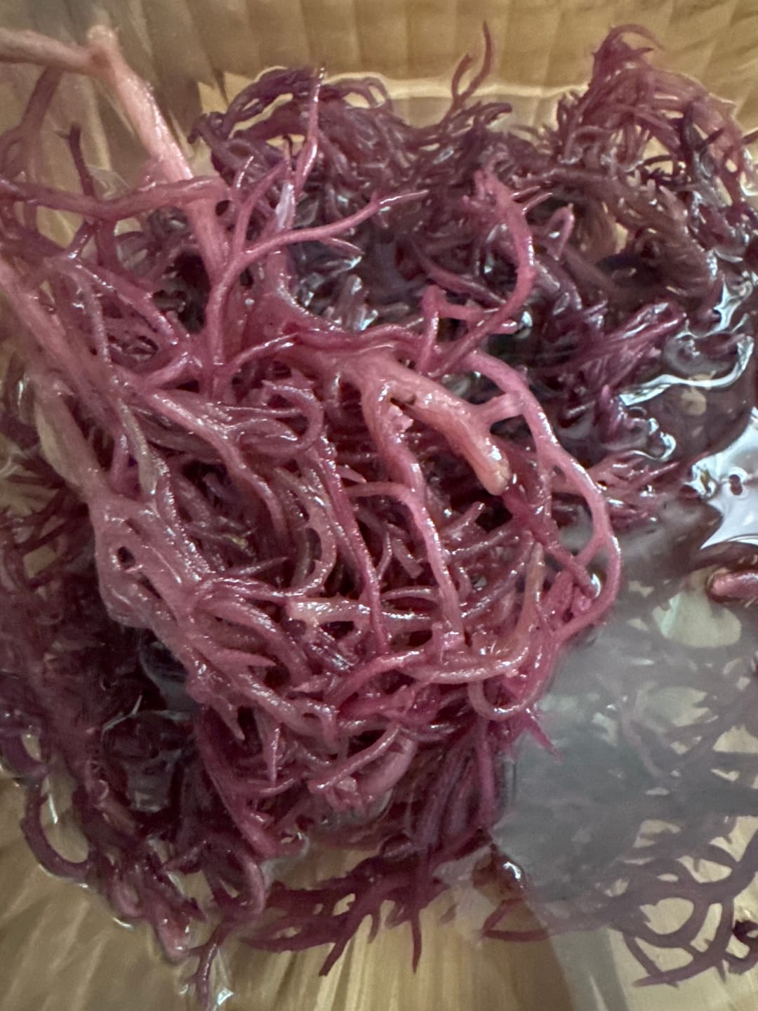 Customer photo review of Premium Purple Wildcrafted Raw Sun dried Sea Moss